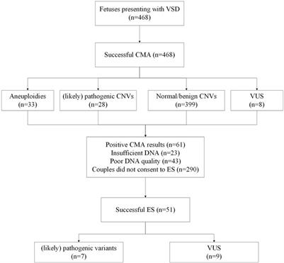 Prenatal genetic diagnosis associated with fetal ventricular septal defect: an assessment based on chromosomal microarray analysis and exome sequencing